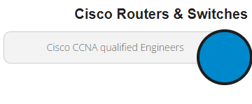 Cisco CCNA qualified engineers.